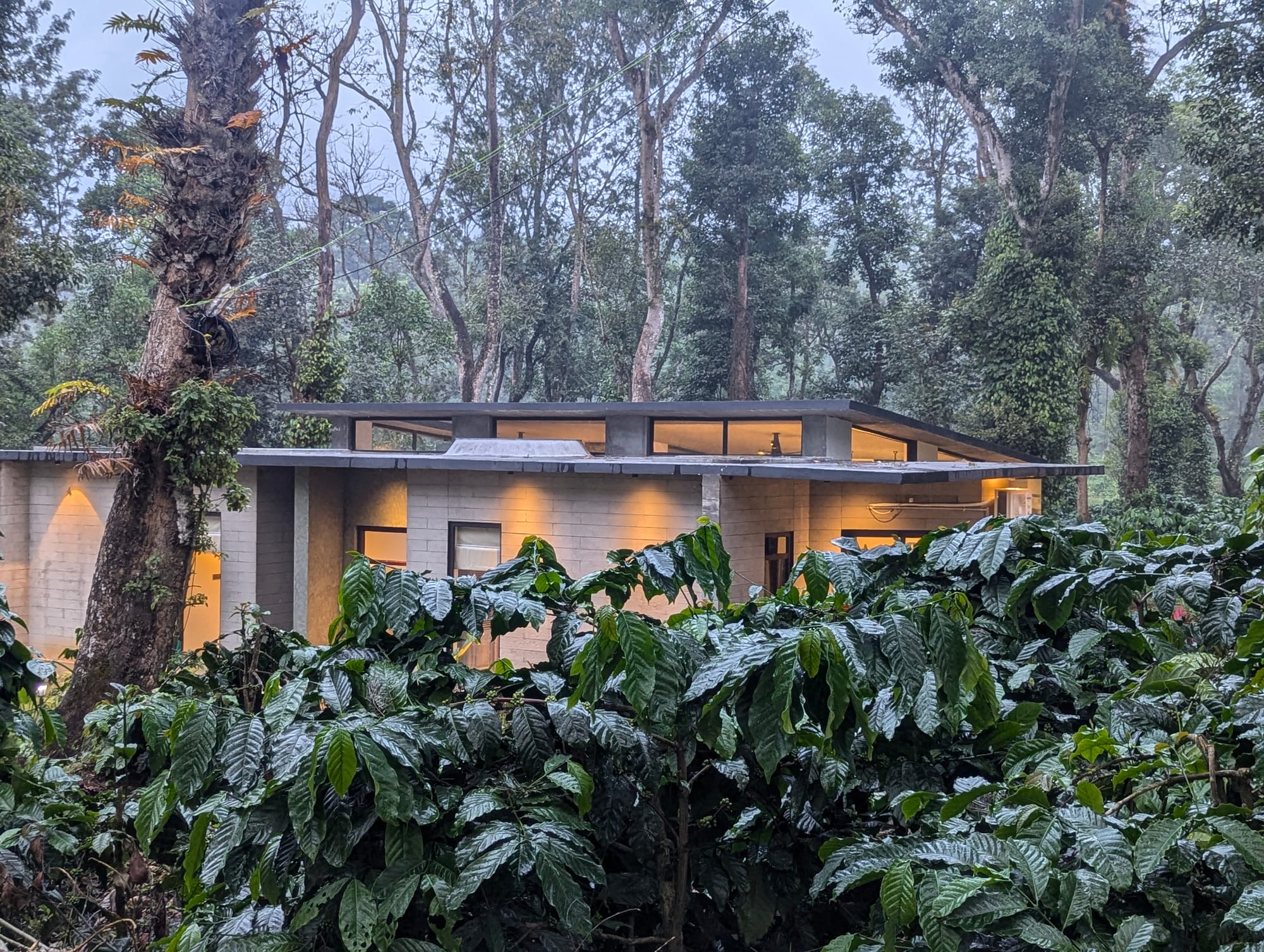Earthsong and Birdsong, Coorg