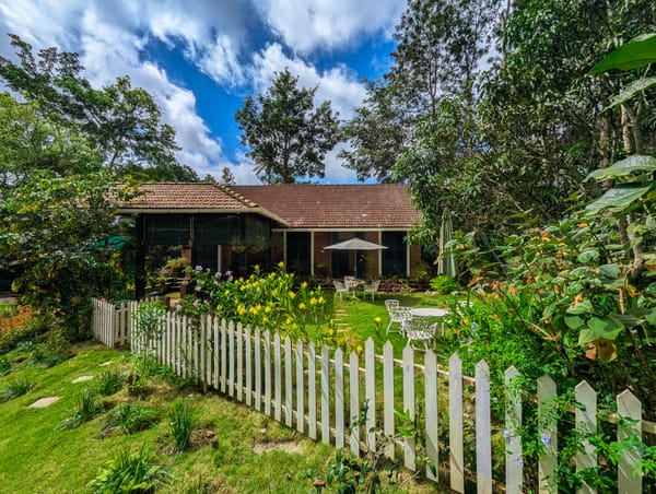 Pine Tree Place, Coorg